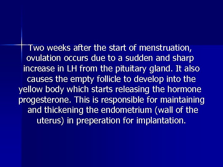Two weeks after the start of menstruation, ovulation occurs due to a sudden and
