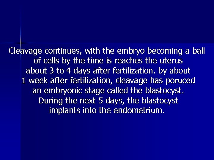 Cleavage continues, with the embryo becoming a ball of cells by the time is