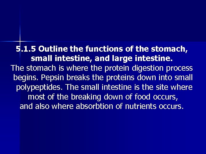 5. 1. 5 Outline the functions of the stomach, small intestine, and large intestine.