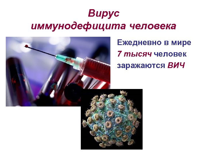 Вирус иммунодефицита человека Ежедневно в мире 7 тысяч человек заражаются ВИЧ 
