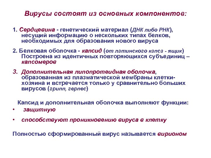Вирусы состоят из основных компонентов: 1. Сердцевина - генетический материал (ДНК либо РНК), несущий