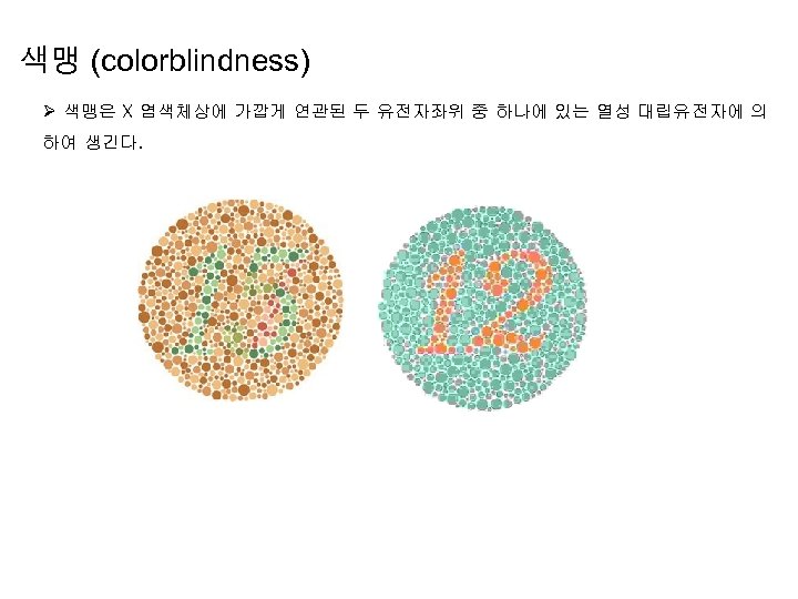 색맹 (colorblindness) Ø 색맹은 X 염색체상에 가깝게 연관된 두 유전자좌위 중 하나에 있는 열성