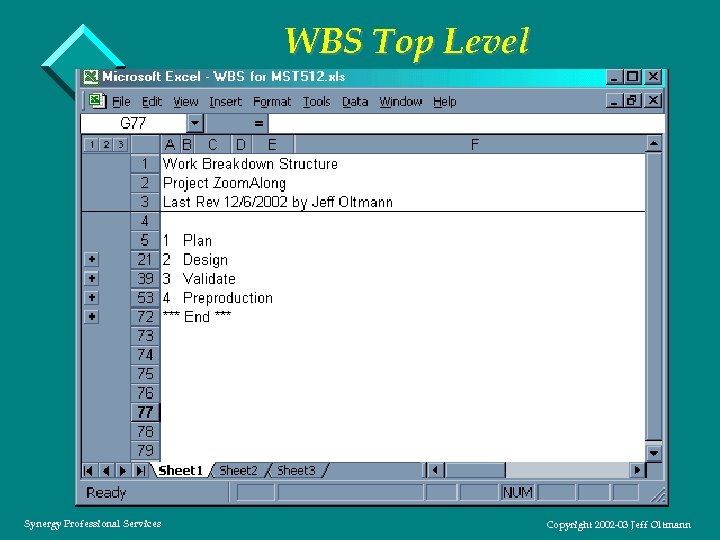 WBS Top Level Synergy Professional Services Copyright 2002 -03 Jeff Oltmann 