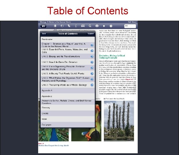Table of Contents 