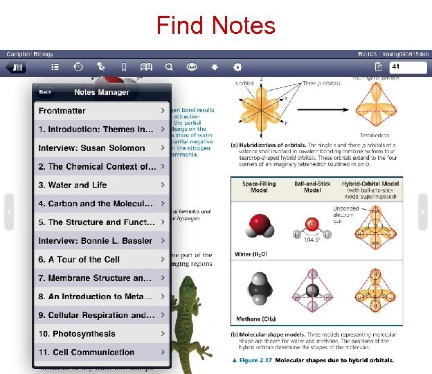Find Notes 