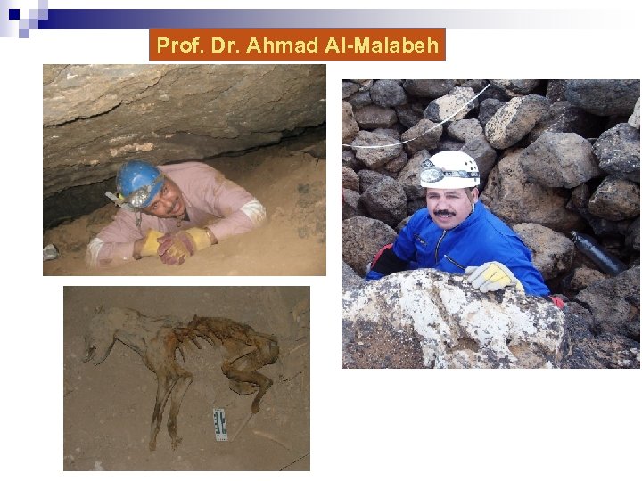 Prof. Dr. Ahmad Al-Malabeh 