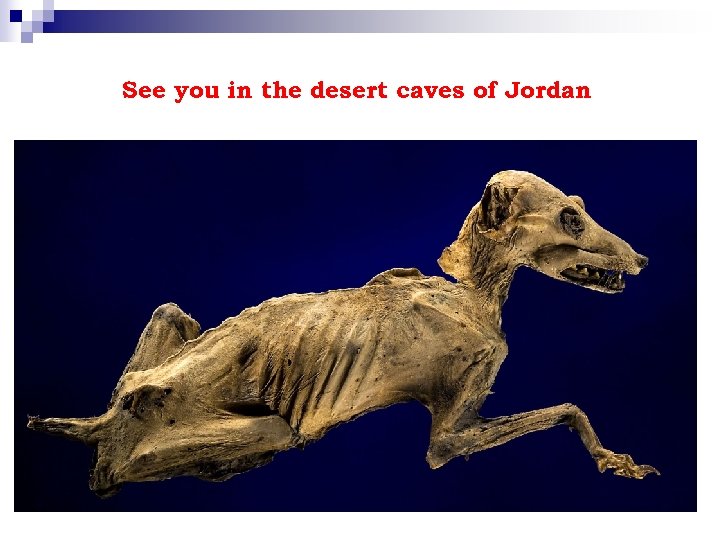 See you in the desert caves of Jordan 