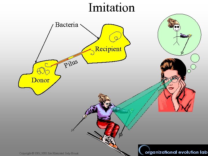 Imitation Bacteria Recipient s Pilu Donor Copyright © 2001, 2002 Jim Hines and Jody