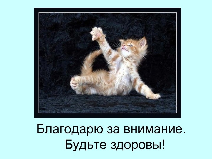 Благодарю за внимание. Будьте здоровы! 