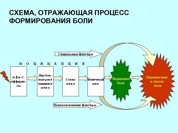 Схема отражает процесс