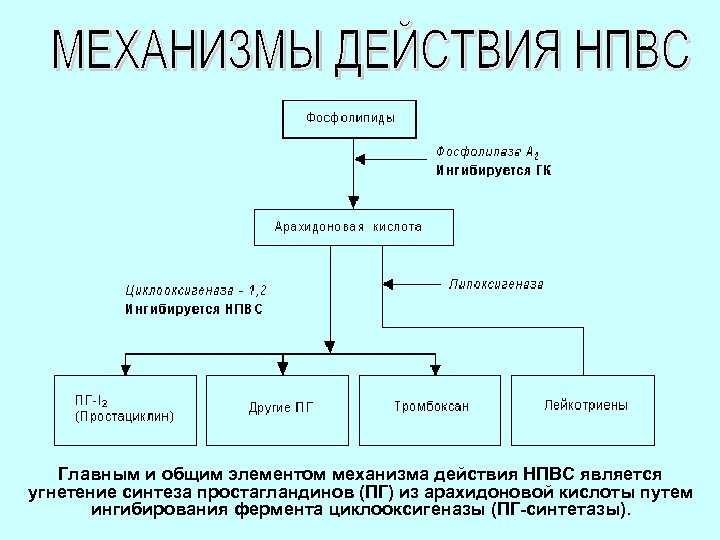 Действующая схема. Механизм противовоспалительного действия НПВС. Механизм действия нестероидных противовоспалительных средств. Механизм анальгезирующего действия НПВС. Схема действия противовоспалительных средств.