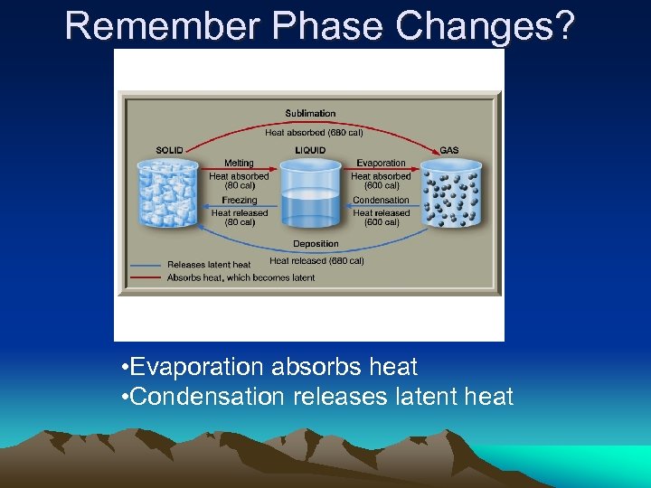 Remember Phase Changes? • Evaporation absorbs heat • Condensation releases latent heat 