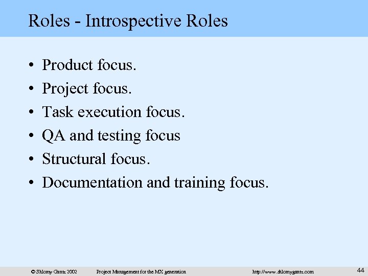 Roles - Introspective Roles • • • Product focus. Project focus. Task execution focus.