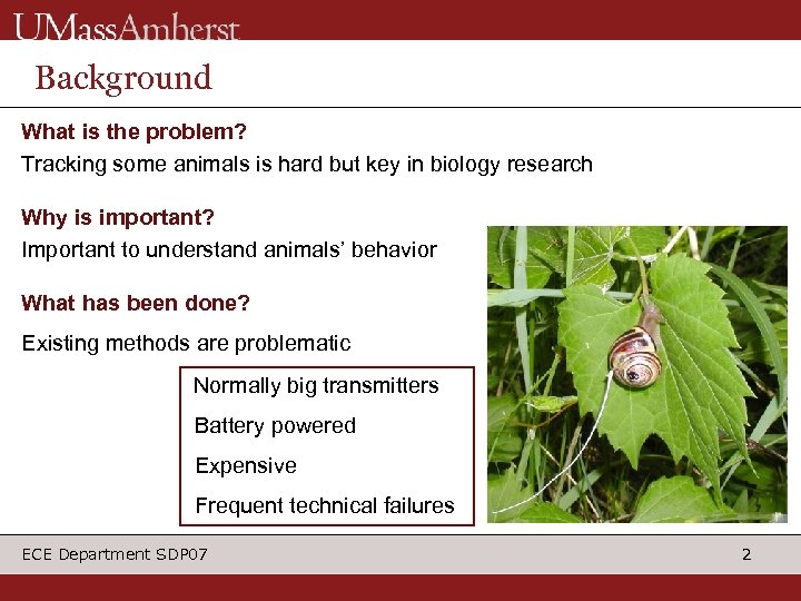 Background What is the problem? Tracking some animals is hard but key in biology