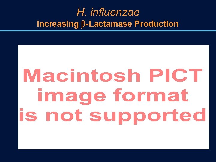 H. influenzae Increasing -Lactamase Production 