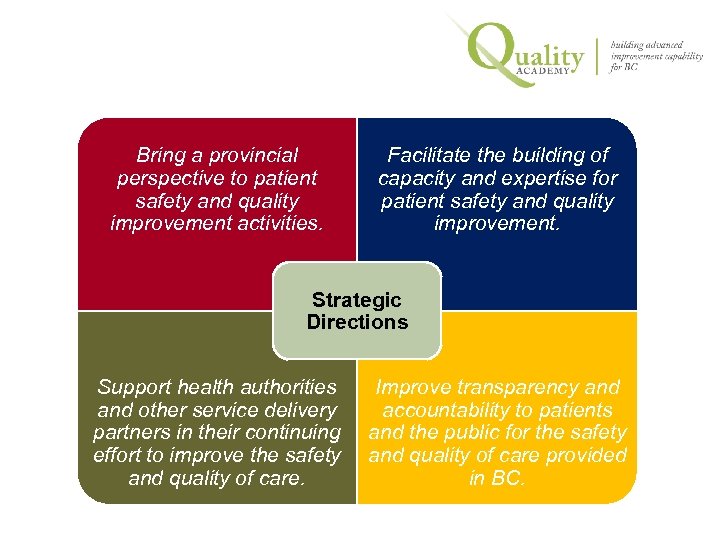 Bring a provincial perspective to patient safety and quality improvement activities. Facilitate the building