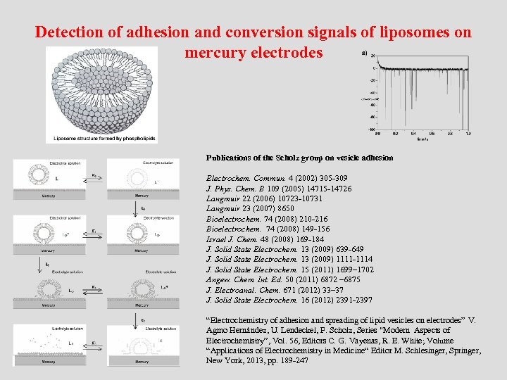 Detection of adhesion and conversion signals of liposomes on mercury electrodes Publications of the