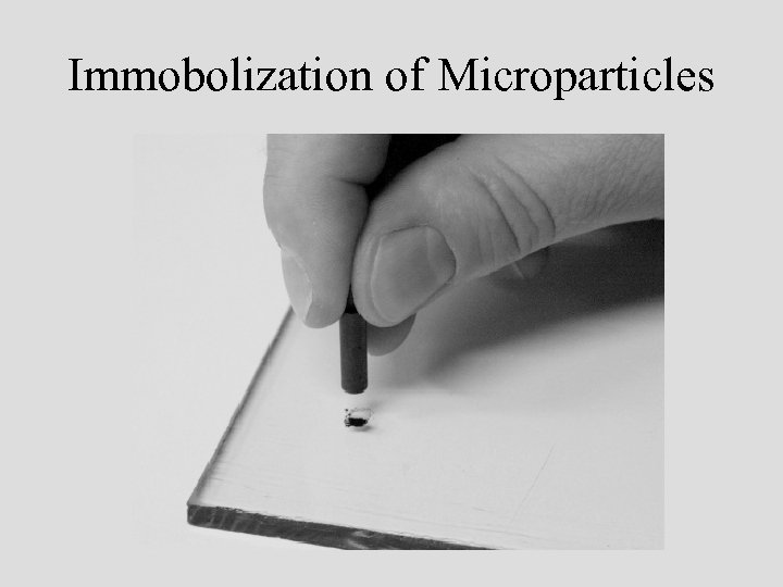 Immobolization of Microparticles 