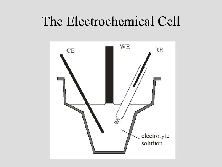 The Electrochemical Cell 
