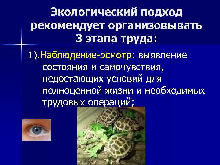 Экологический подход рекомендует организовывать 3 этапа труда: 1). Наблюдение-осмотр: выявление состояния и самочувствия, недостающих