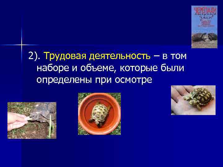 2). Трудовая деятельность – в том наборе и объеме, которые были определены при осмотре