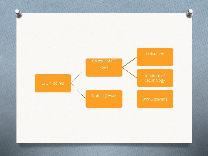 University College of FE CAO Institute of technology L/C + points Training/work Work/training 