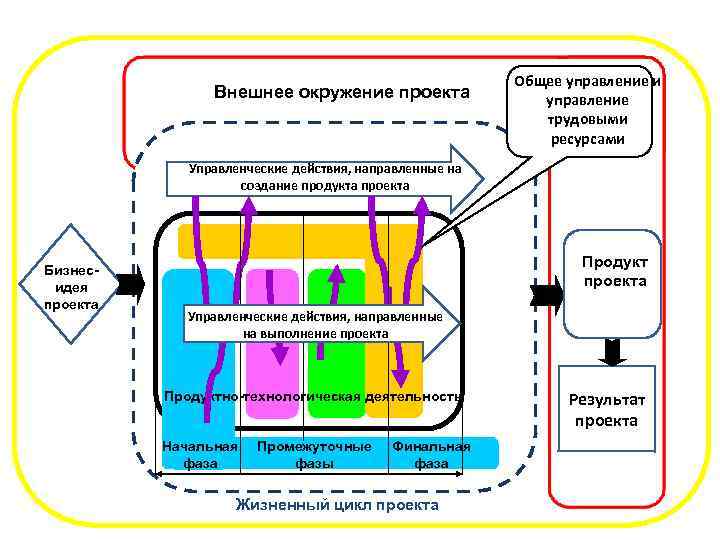 Внешнее окружение проекта Общее управление и управление трудовыми ресурсами Управленческие действия, направленные на создание