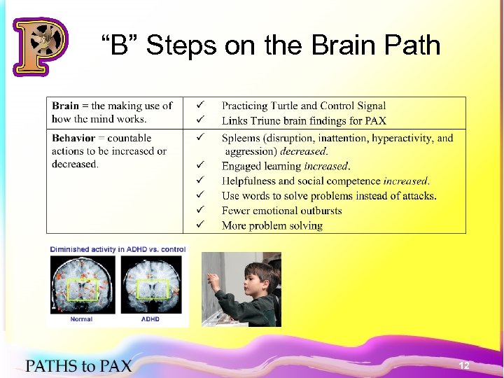 “B” Steps on the Brain Path 12 