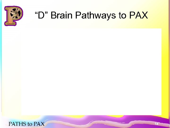 “D” Brain Pathways to PAX 14 
