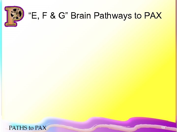 “E, F & G” Brain Pathways to PAX 15 