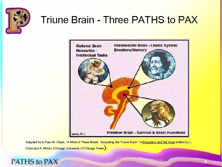 Triune Brain - Three PATHS to PAX Adapted from Paul M. Clean, “A Mind