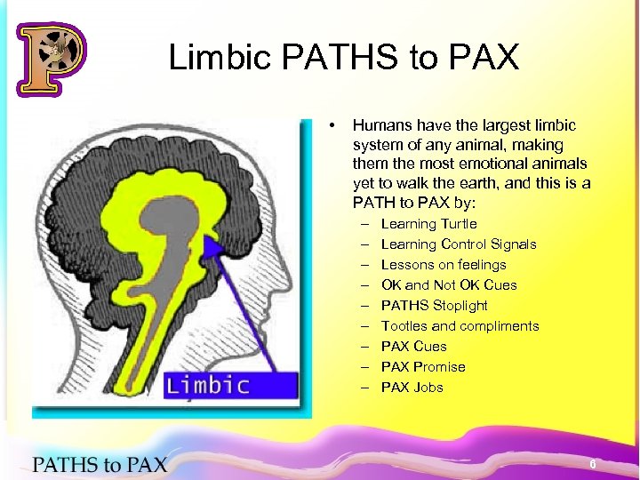 Limbic PATHS to PAX • Humans have the largest limbic system of any animal,
