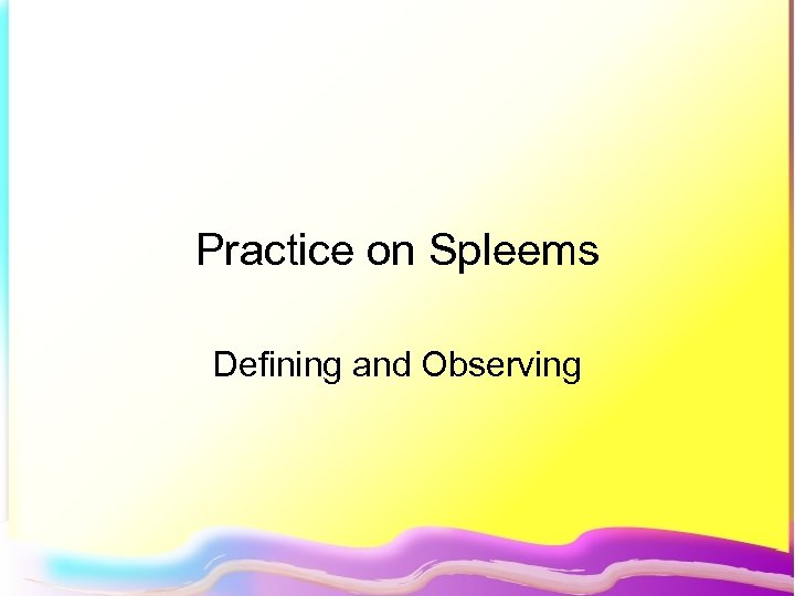Practice on Spleems Defining and Observing 