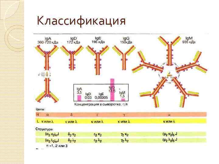 Классификация 