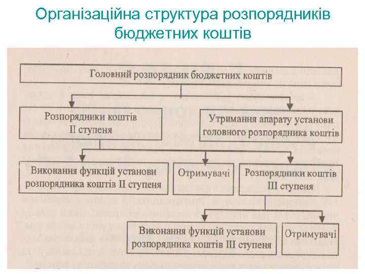 Організаційна структура розпорядників бюджетних коштів 