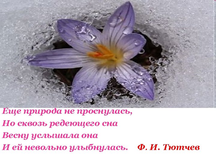 Еще природа не проснулась, Но сквозь редеющего сна Весну услышала она И ей невольно