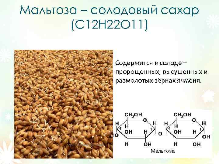Мальтоза – солодовый сахар (C 12 Н 22 О 11) Содержится в солоде –