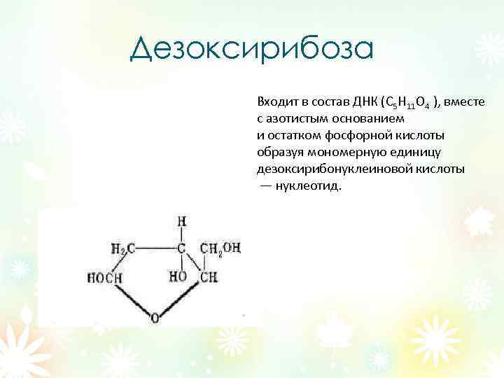 Дезоксирибоза в составе нуклеотида