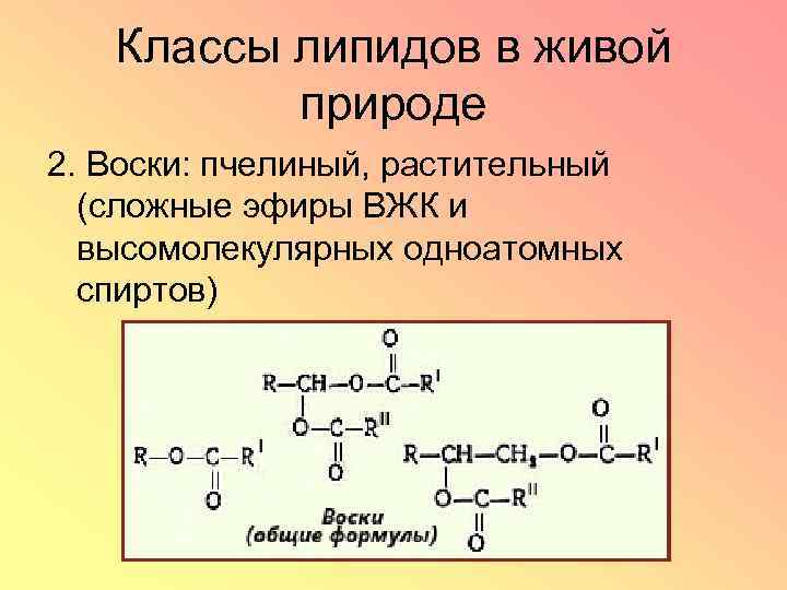 Классы липидов в живой природе 2. Воски: пчелиный, растительный (сложные эфиры ВЖК и высомолекулярных