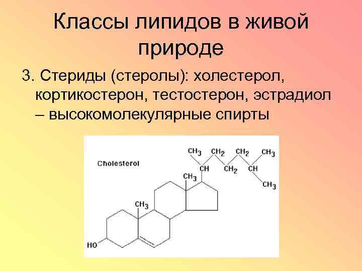 Классы липидов в живой природе 3. Стериды (стеролы): холестерол, кортикостерон, тестостерон, эстрадиол – высокомолекулярные