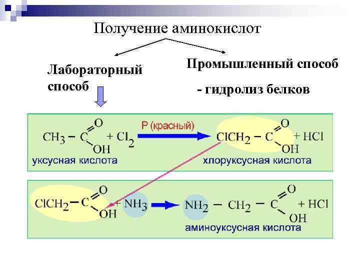 Получение аминокислот Лабораторный способ Промышленный способ - гидролиз белков 