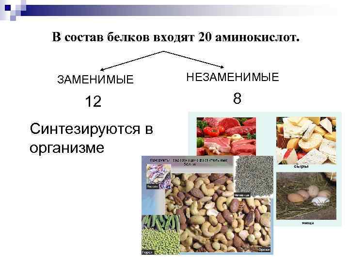 В состав белков входят 20 аминокислот. ЗАМЕНИМЫЕ 12 Синтезируются в организме НЕЗАМЕНИМЫЕ 8 