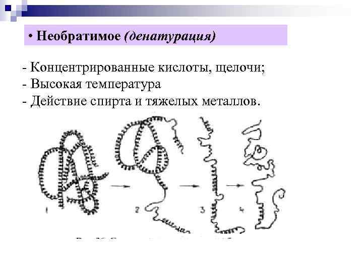  • Необратимое (денатурация) - Концентрированные кислоты, щелочи; - Высокая температура - Действие спирта