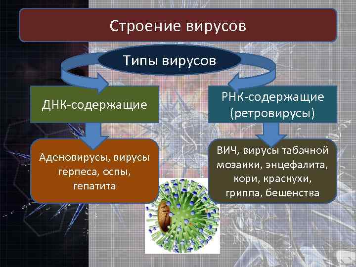 Кроссворд типы компьютерных вирусов