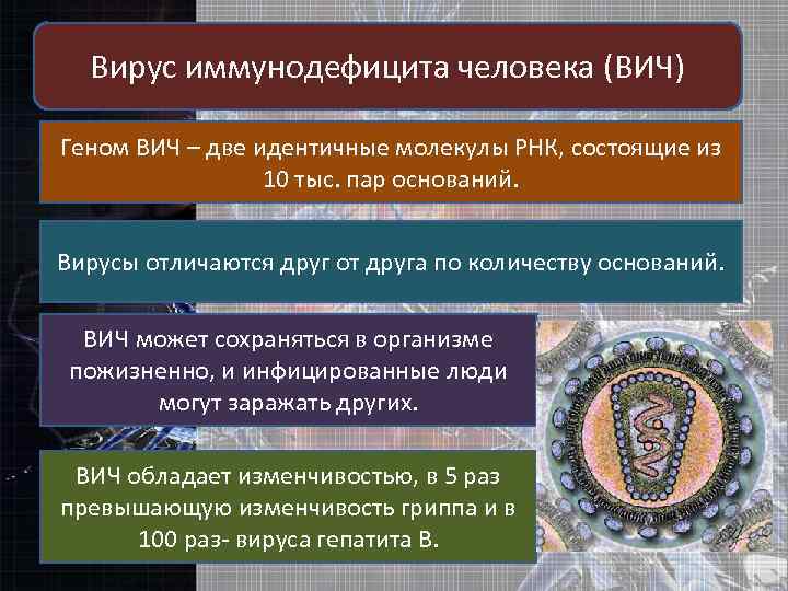 Вирус иммунодефицита человека (ВИЧ) Геном ВИЧ – две идентичные молекулы РНК, состоящие из 10