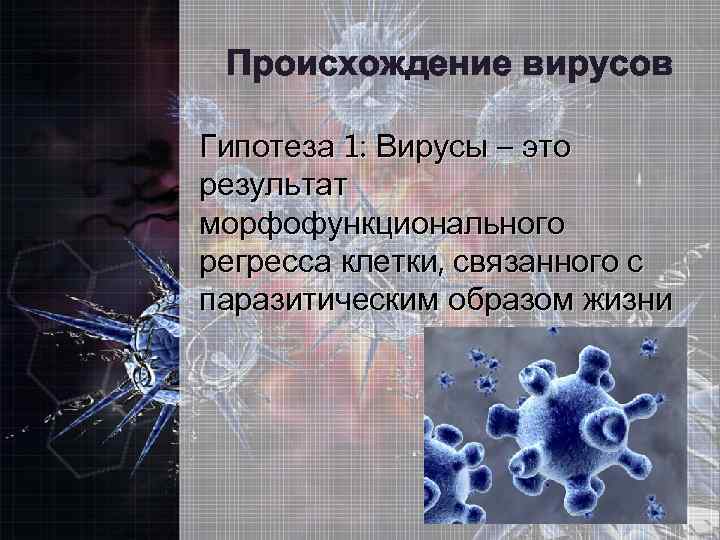 Происхождение вирусов Гипотеза 1: Вирусы – это результат морфофункционального регресса клетки, связанного с паразитическим