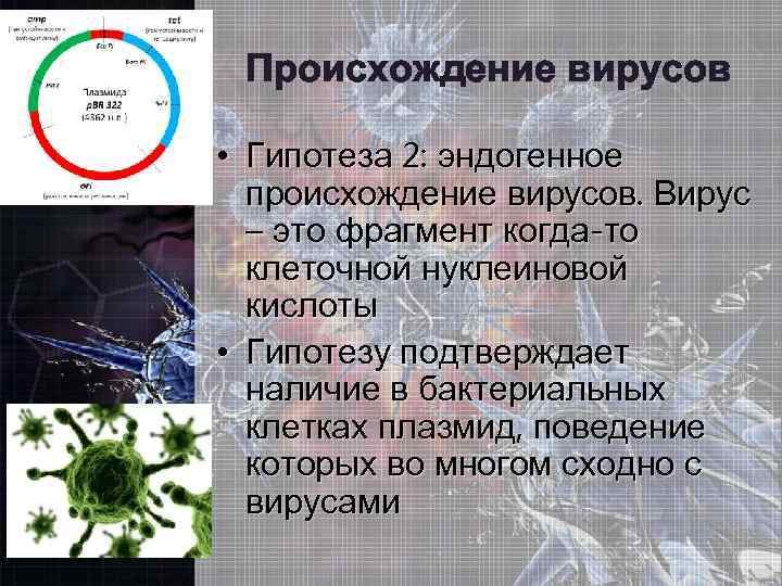 Происхождение вирусов • Гипотеза 2: эндогенное происхождение вирусов. Вирус – это фрагмент когда-то клеточной