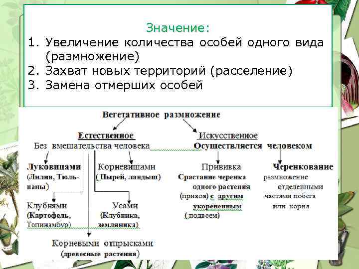 Значение: 1. Увеличение количества особей одного вида (размножение) 2. Захват новых территорий (расселение) 3.