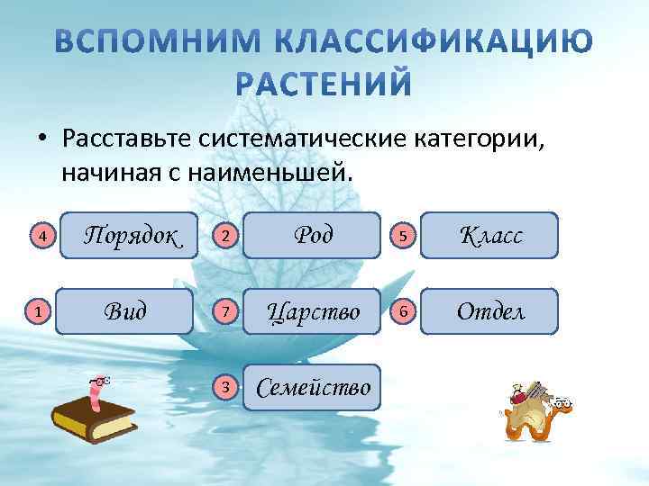  • Расставьте систематические категории, начиная с наименьшей. 4 1 Порядок Вид 2 Род