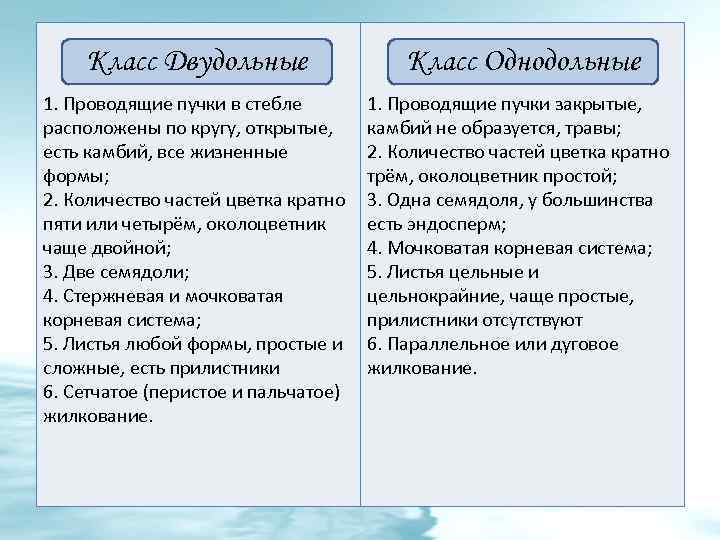 Класс Двудольные Класс Однодольные 1. Проводящие пучки в стебле расположены по кругу, открытые, есть